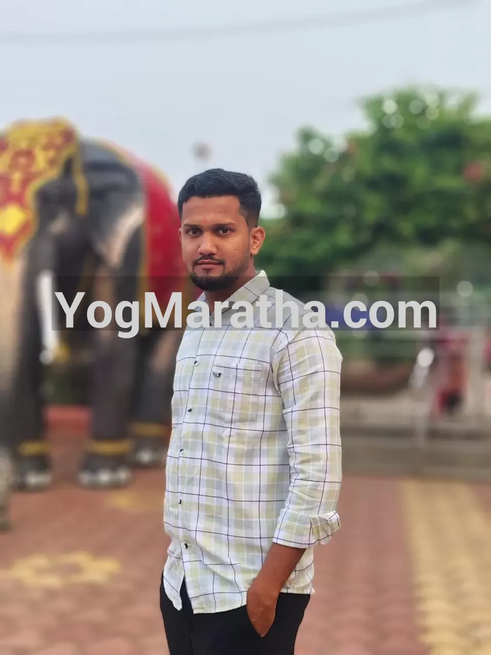 Maratha Marriage Profile Photo