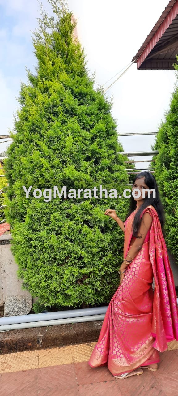 Maratha Marriage Profile Photo