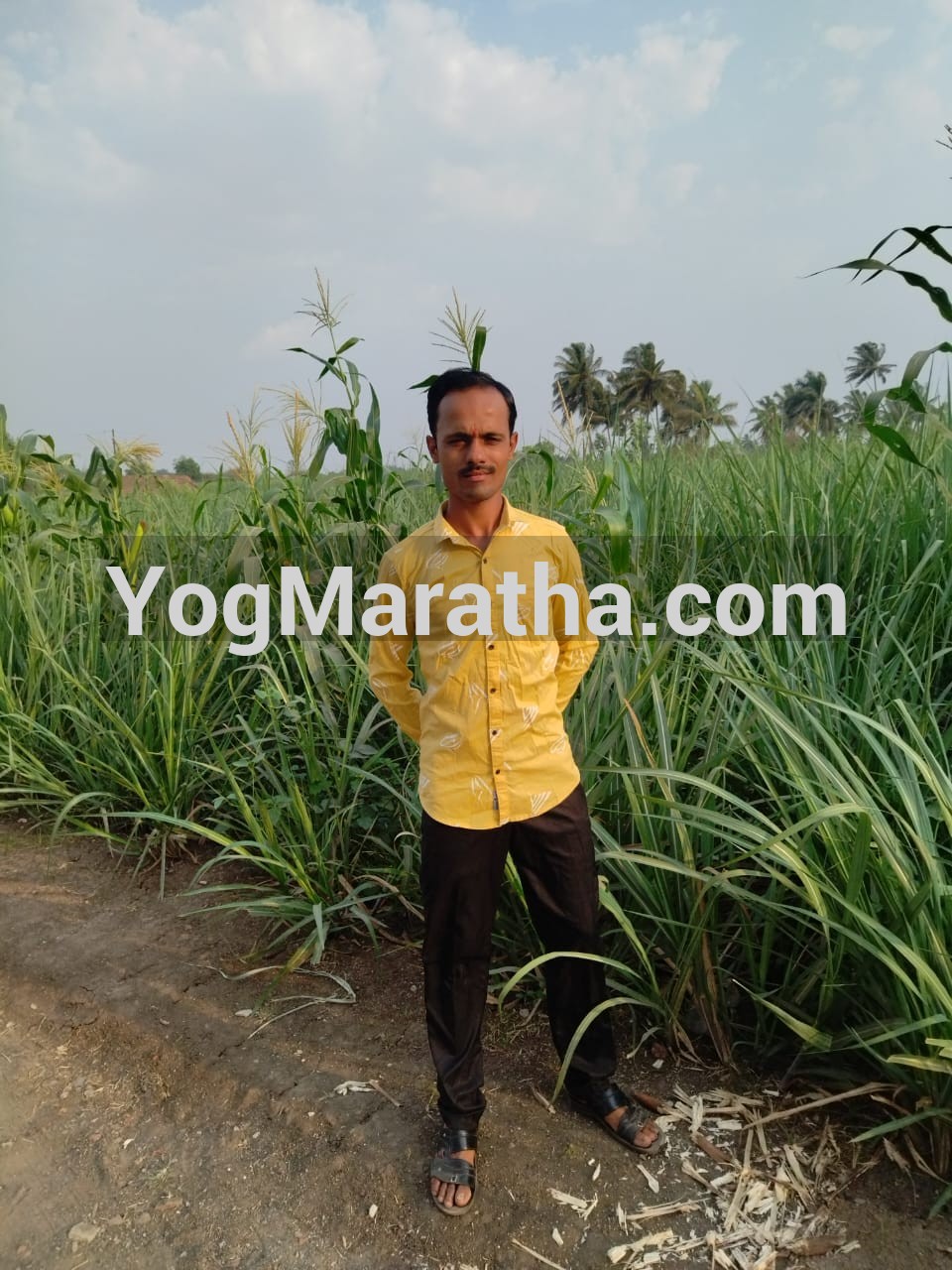 Maratha Marriage Profile Photo